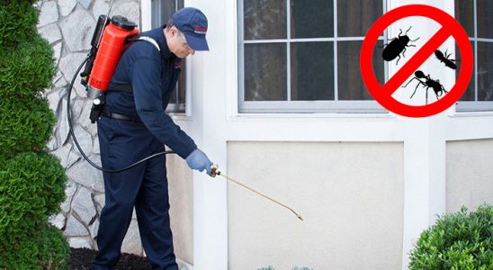 Çamdibi Akrep İlaçlama böcek ilaçlama ve haşere kontrolü — ilaclama-tr.com